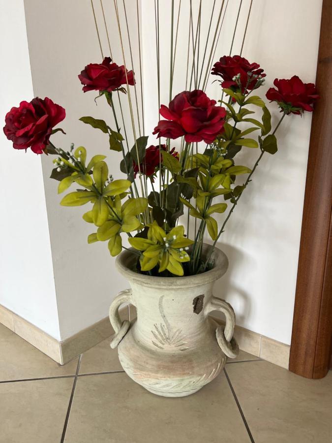 Apartament Casa Meraviglia Montesilvano Marina Zewnętrze zdjęcie